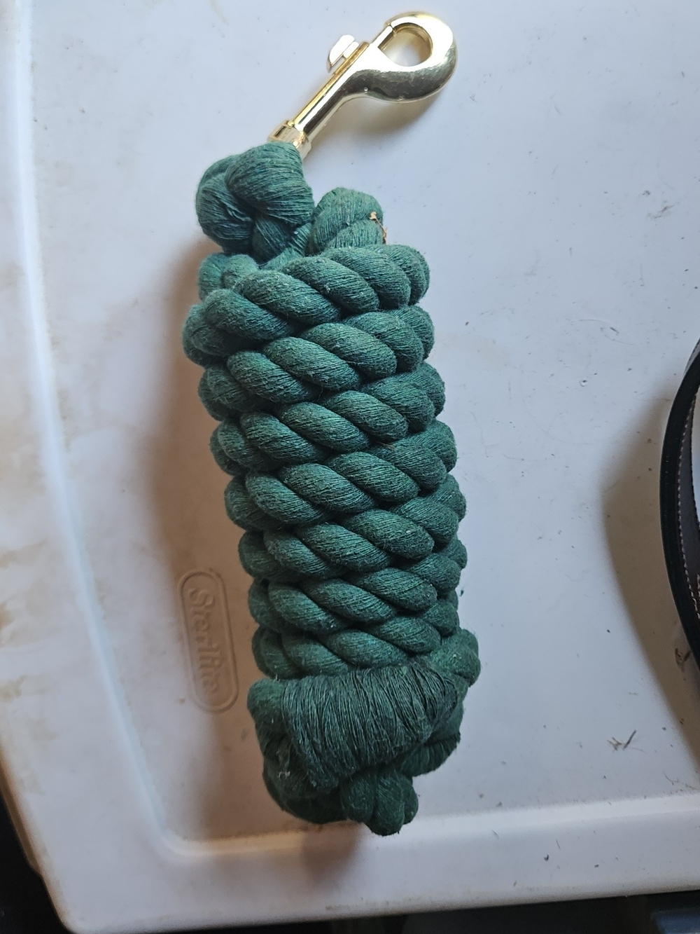 Green Braided Cotton Lead Rope with Brass Snap Hook